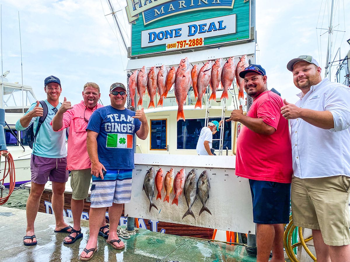 done-deal-red-snapper